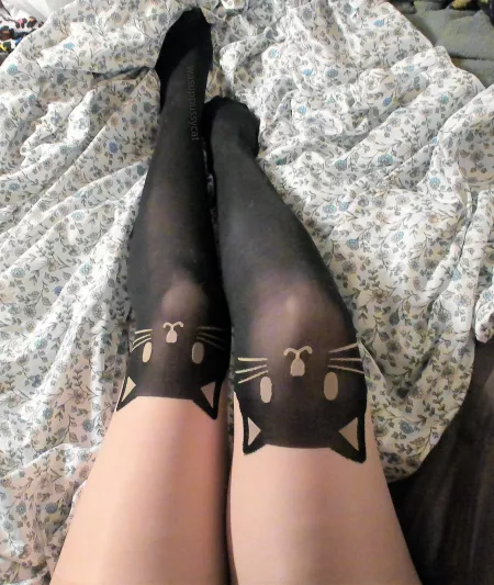 Purrrrrfect! (=^?^=)