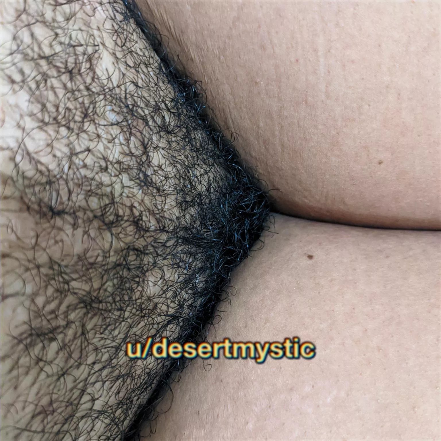 ∆ pussy power ∆ ∆ pussy power ∆