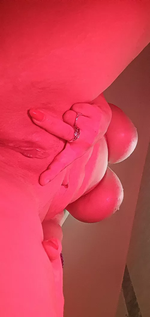 Pussy right after a bath. kisses Pussy right after a bath. kisses