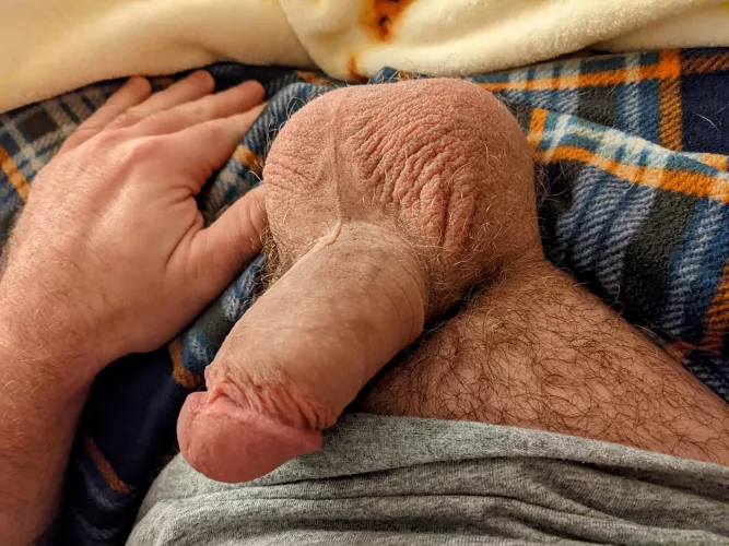 Put my big hairy nuts in your mouth Put my big hairy nuts in your mouth