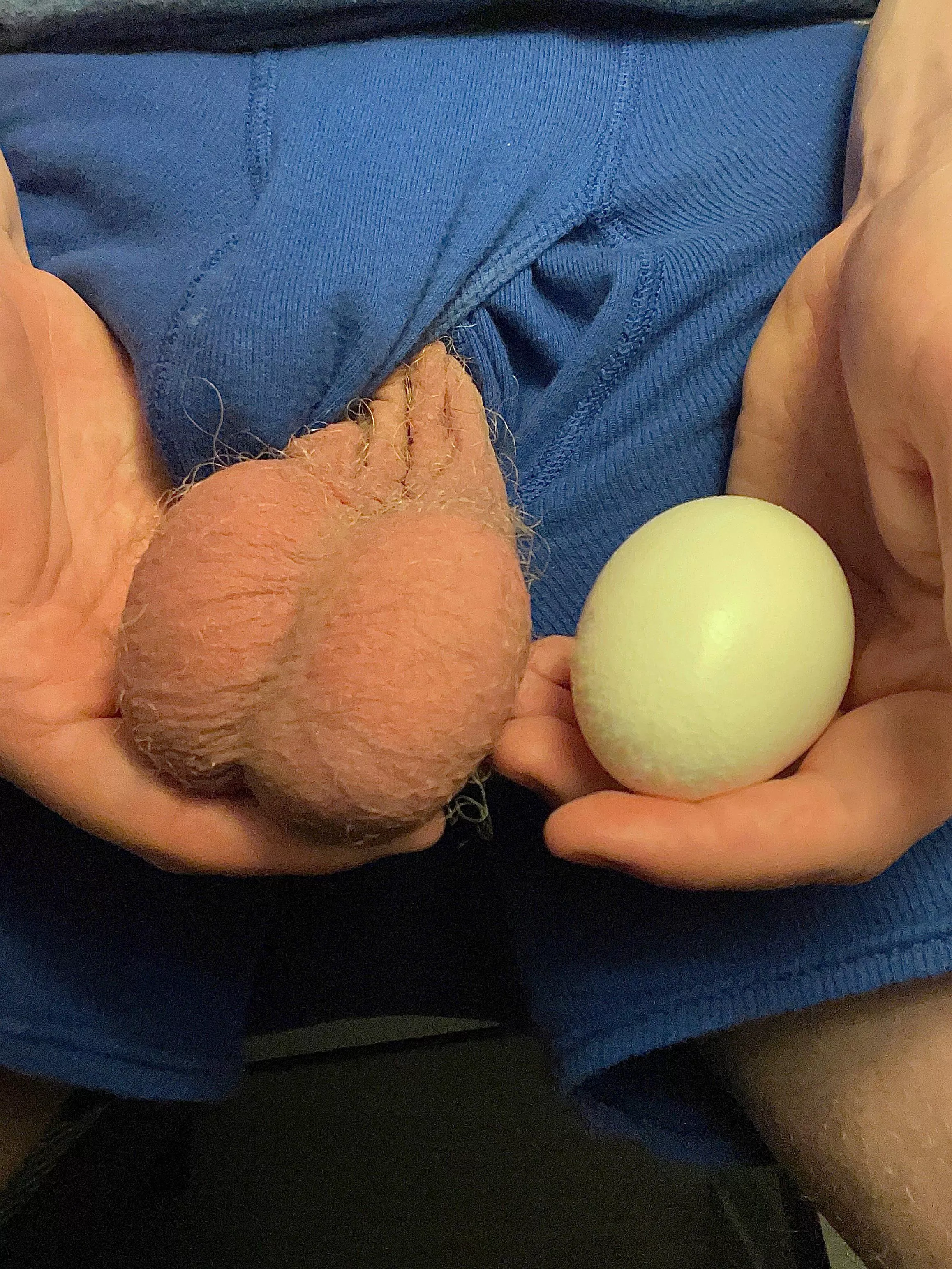 putting jumbo eggs to shame putting jumbo eggs to shame