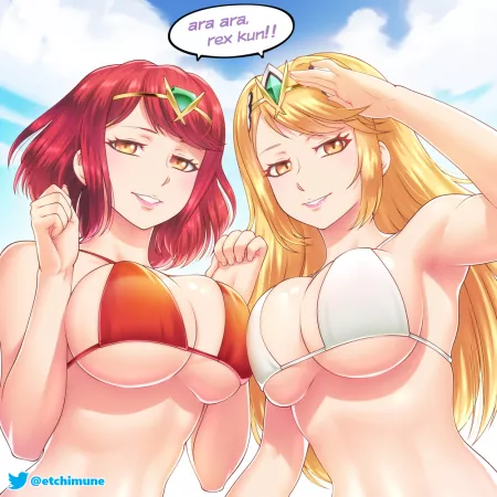 Pyra and Mythra by etchimune and commissioned by me! Pyra and Mythra by etchimune and commissioned by me!