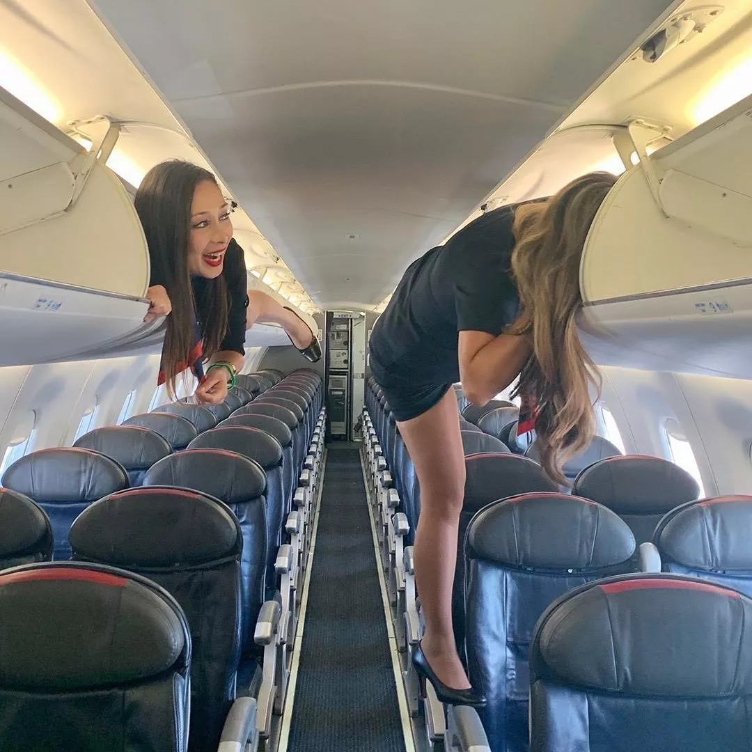 Quick hide before the passenger's arrive Quick hide before the passenger's arrive