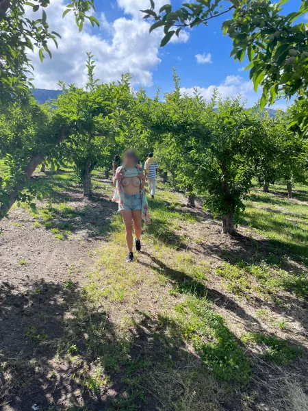 Quick orchard flash ?? [0:07]