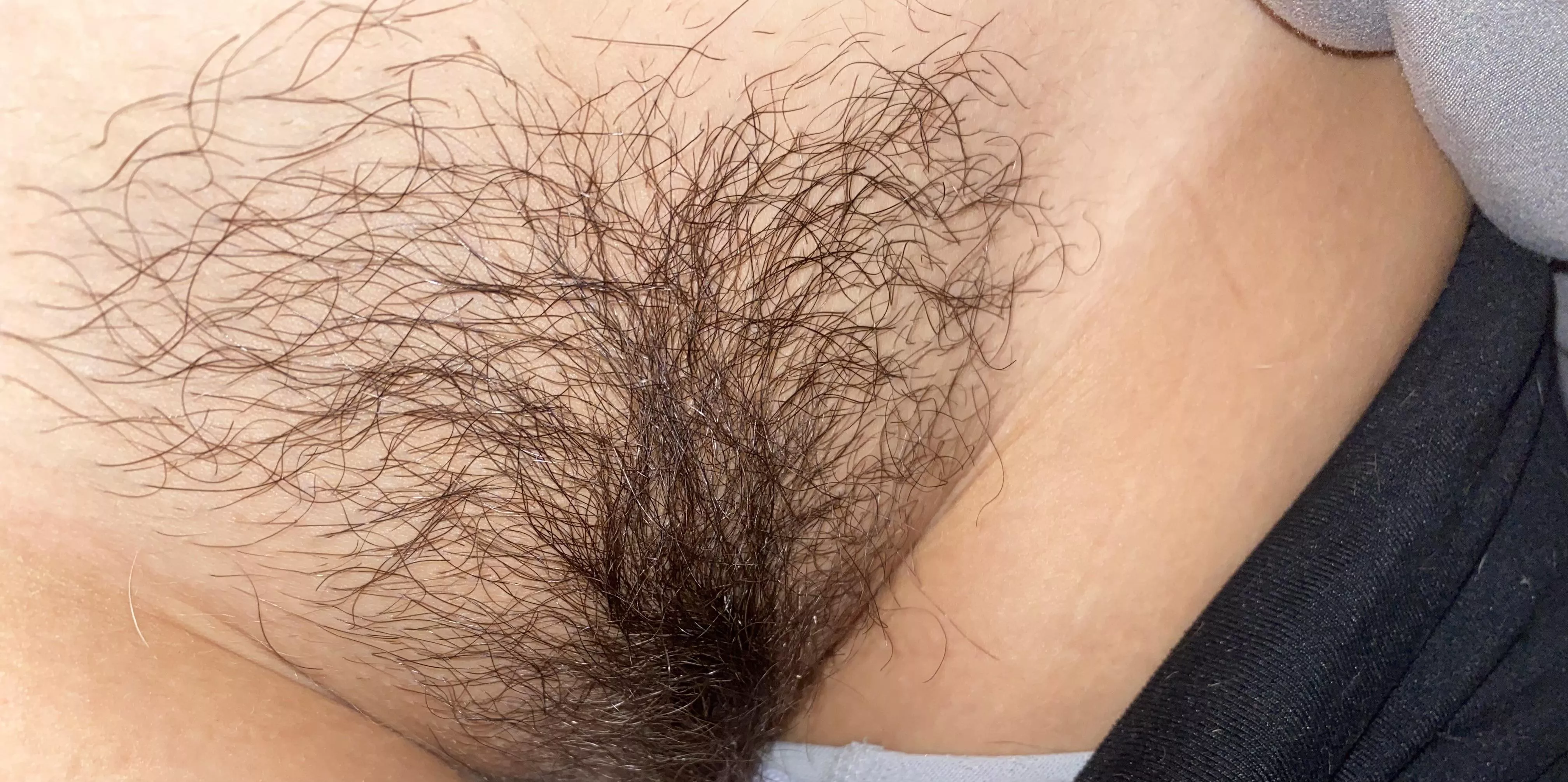 Quick peek at my wife’s Asian bush 💤 Quick peek at my wife’s Asian bush 💤