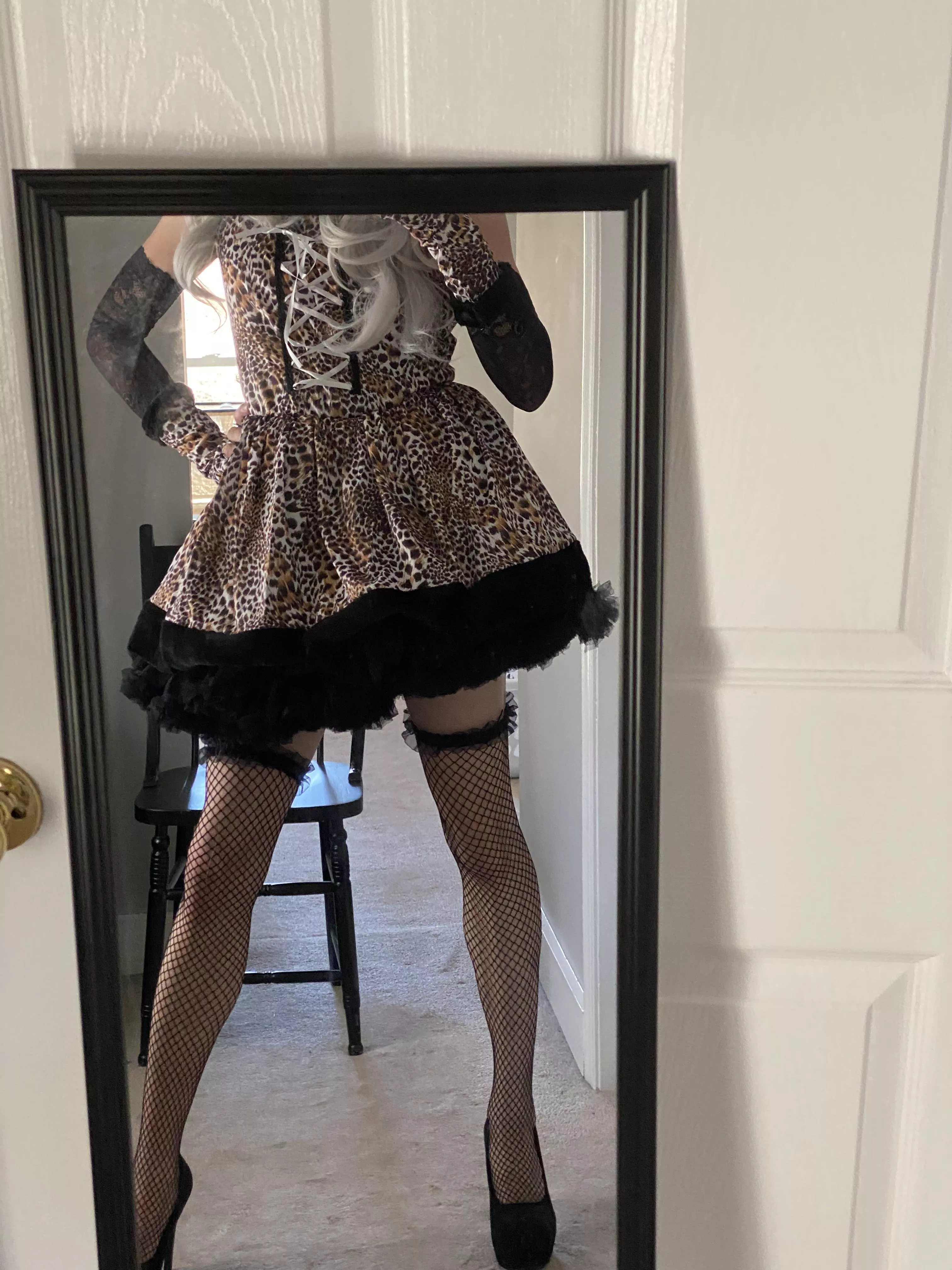 Quick preview! Anyone interested in being my tiger king? Quick preview! Anyone interested in being my tiger king?