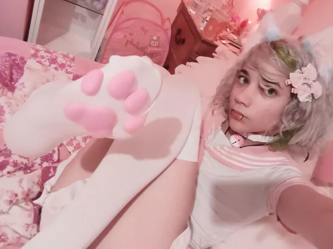 quick someone make a paw pun! ^โขxโข^ quick someone make a paw pun! ^โขxโข^