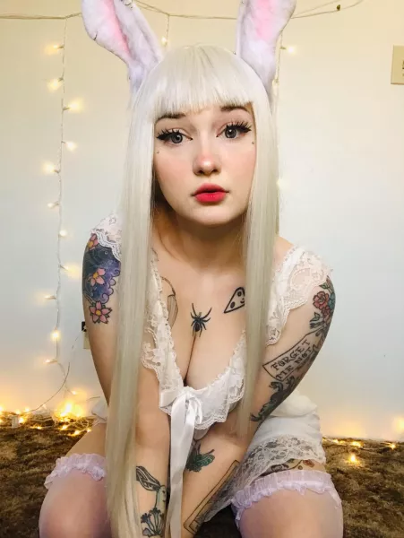 Rabbits are delicate so be careful with me Rabbits are delicate so be careful with me