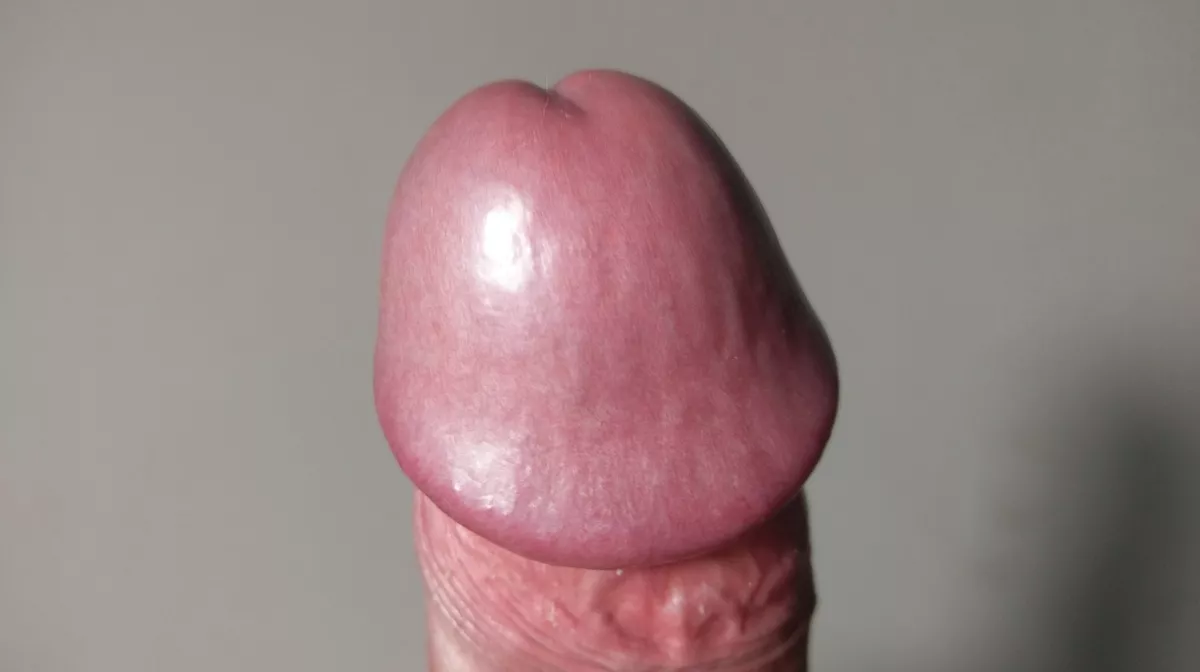Rate my dick head please... Rate my dick head please...