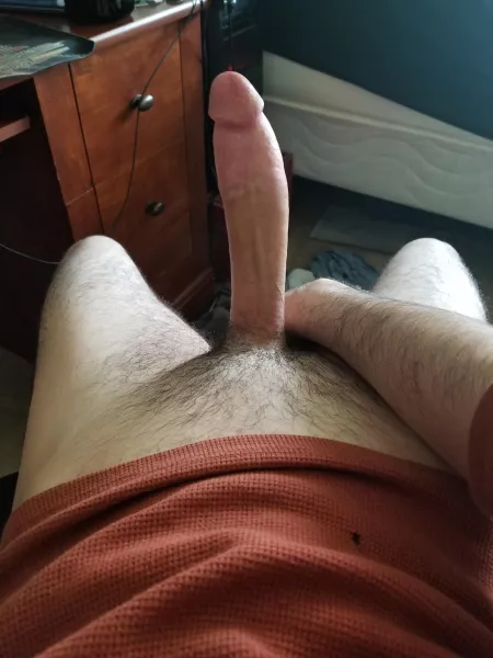 Rate my horse cock (PM'S welcome) Rate my horse cock (PM'S welcome)
