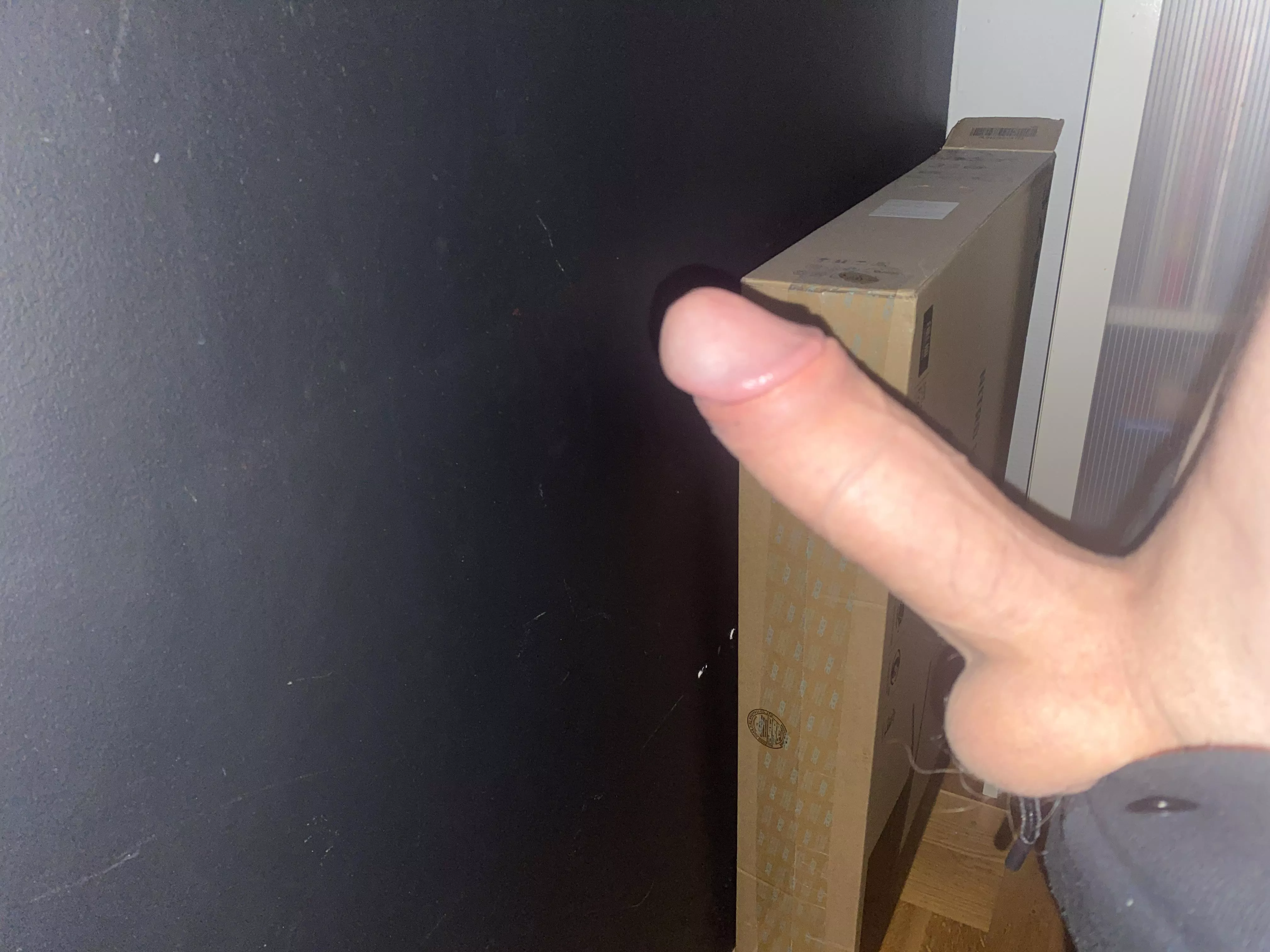 Rate this small friend