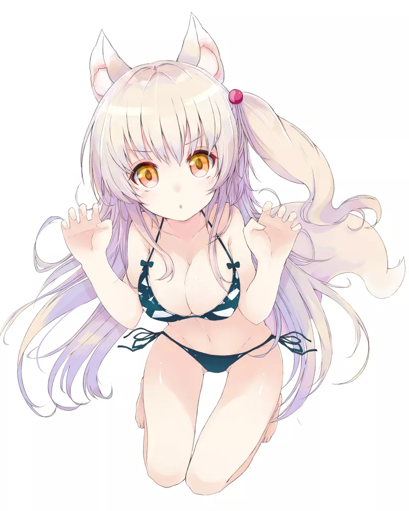 Ready for a swim. Ready for a swim.