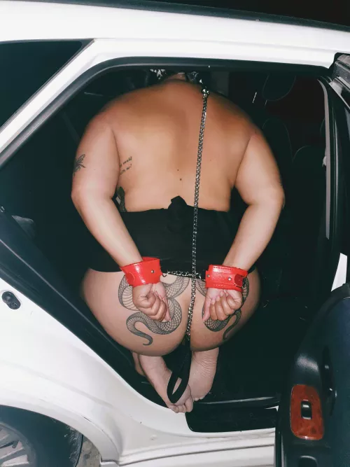 Ready for you to take me for a walk...