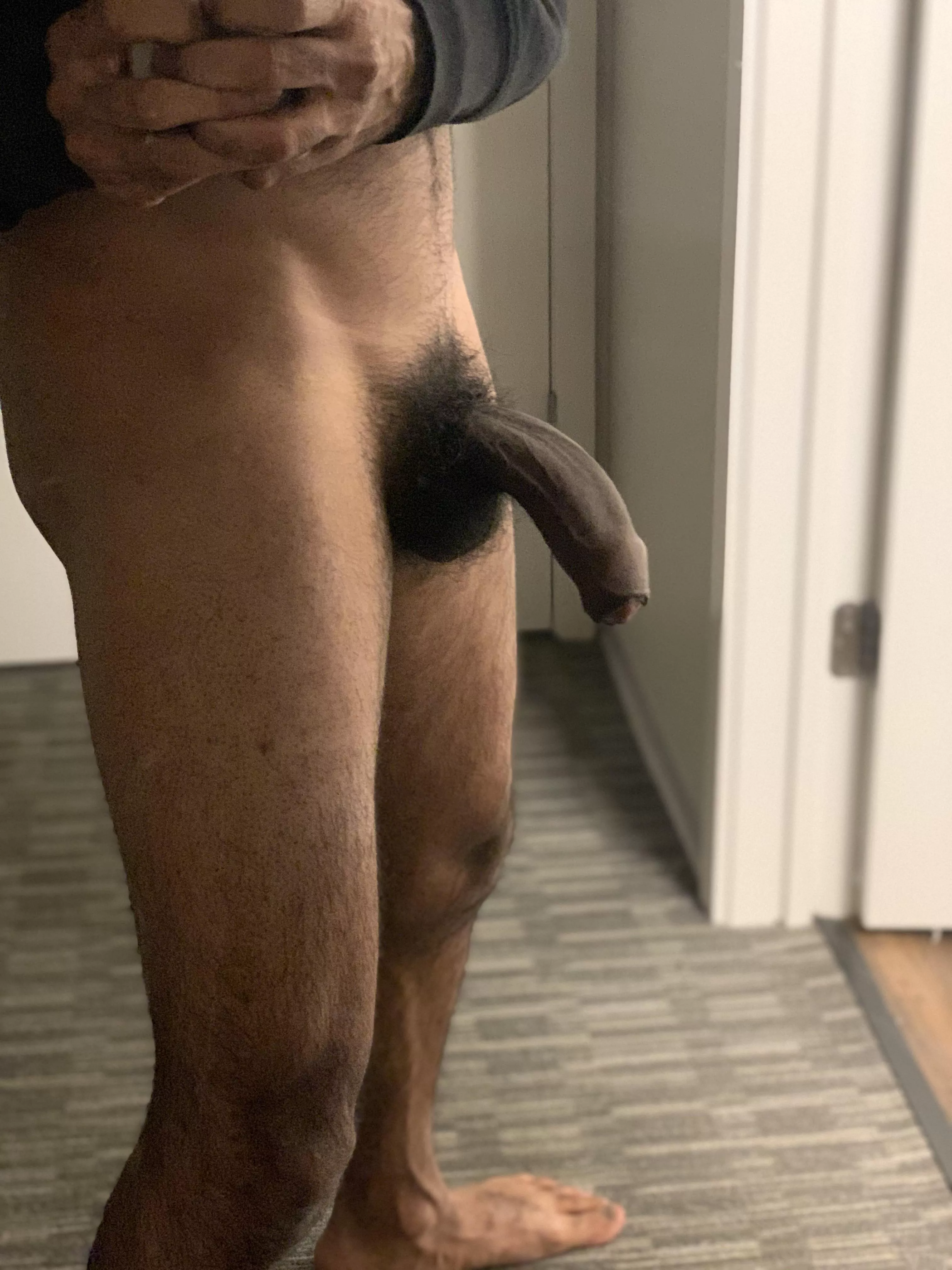 ready to be milked ready to be milked