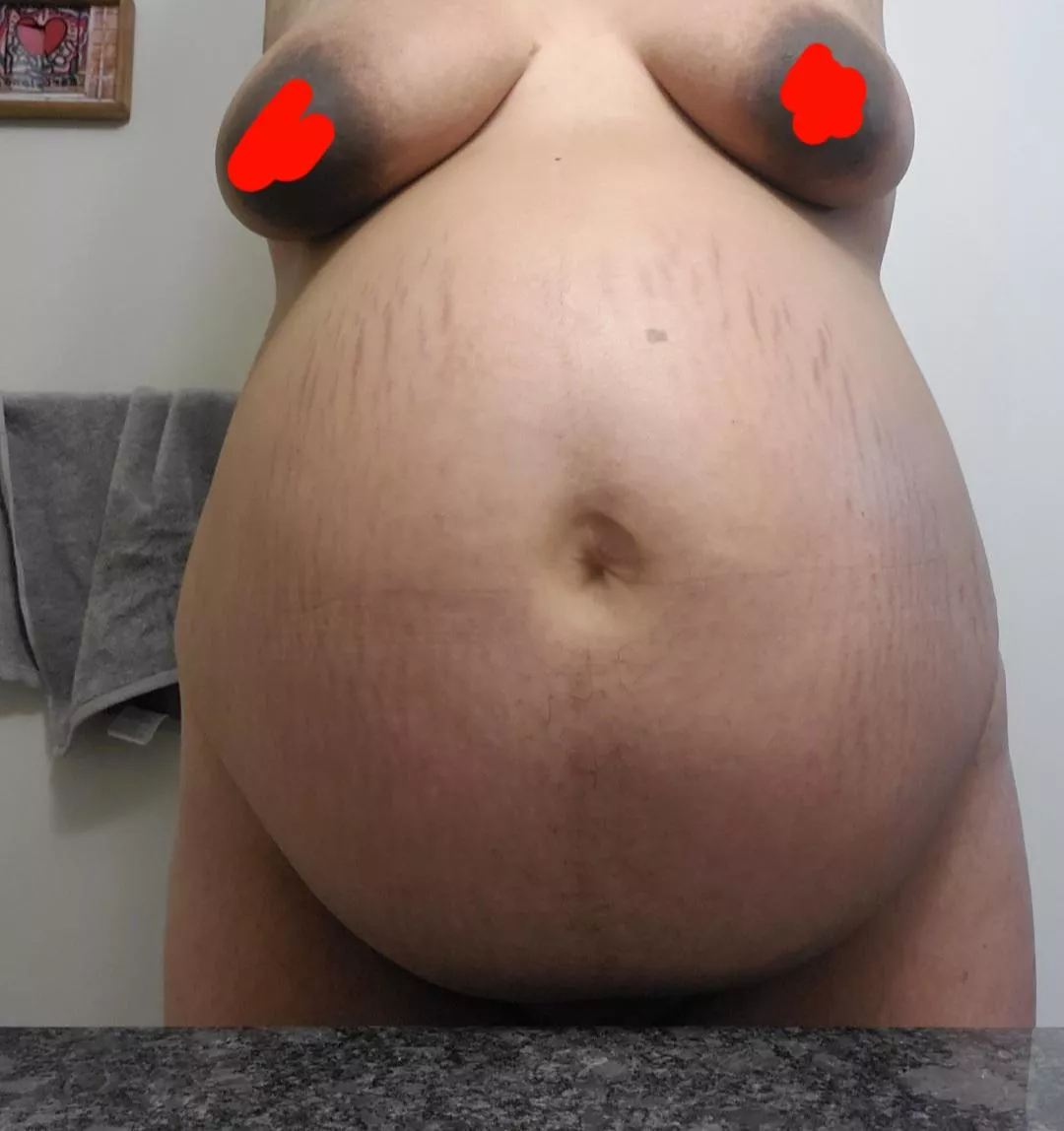 Ready to breed me? Ready to breed me?