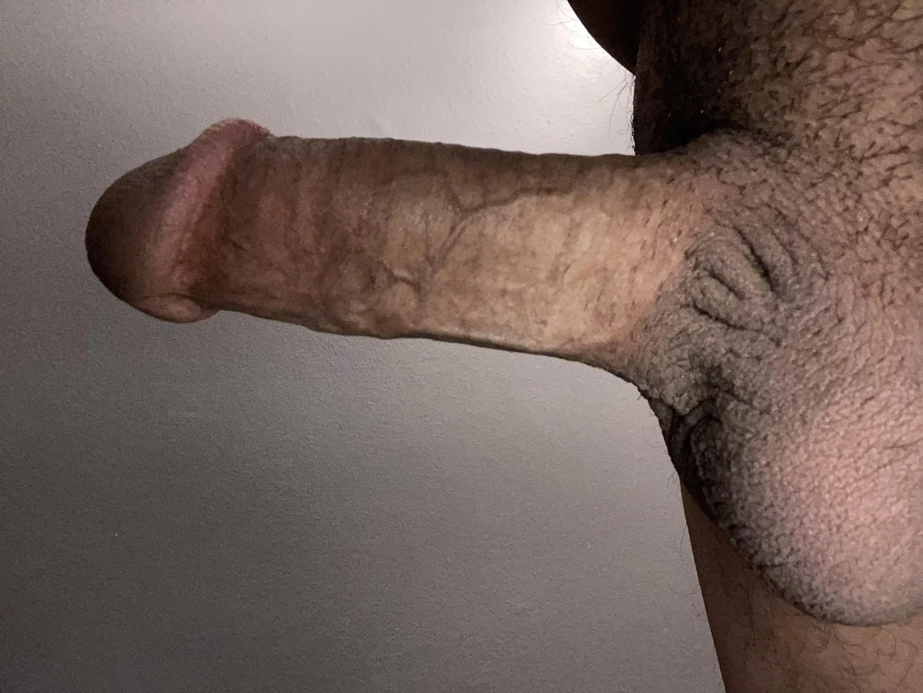 Ready to cum Ready to cum