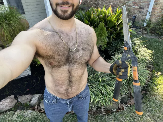 Ready to Trim Those Bushes