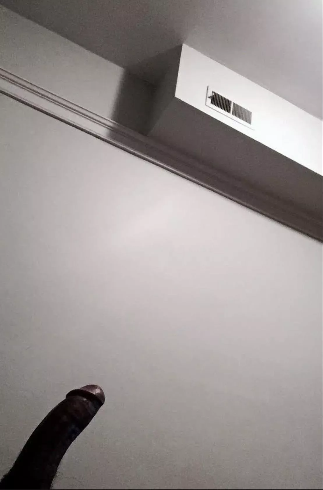 Real or a dildo? What’s your guess? [m]