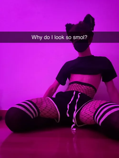 Really, why? Really, why?