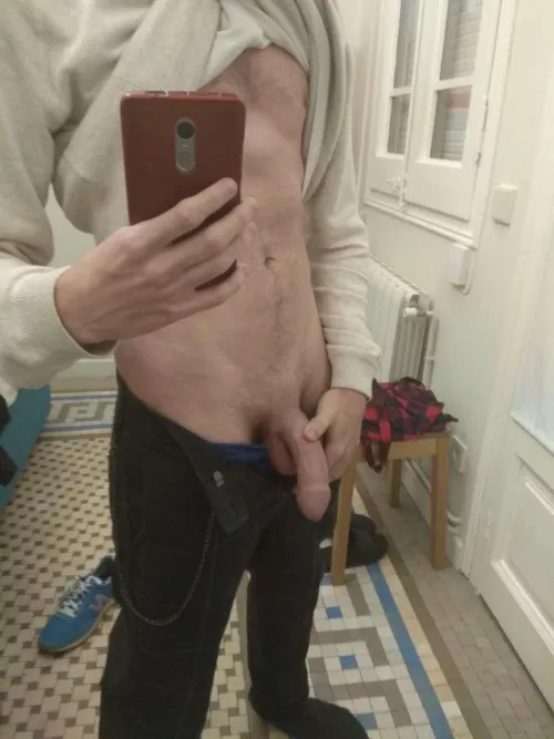 Recently shaved, how's It looking? 😉 Recently shaved, how's It looking? 😉