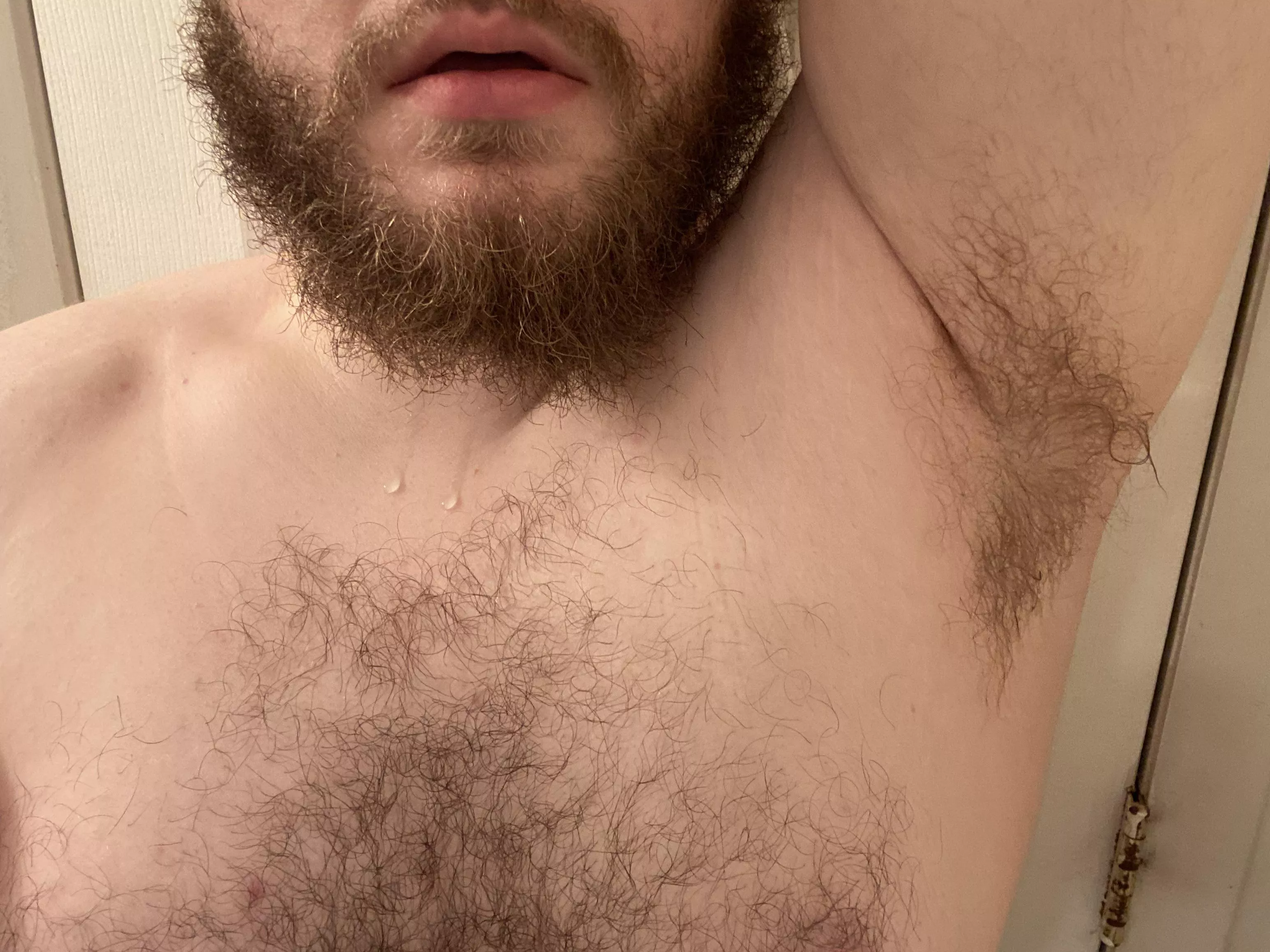 Recently single 🐻 Recently single 🐻