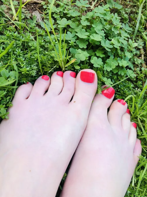 Red pedicure in nature 🍀