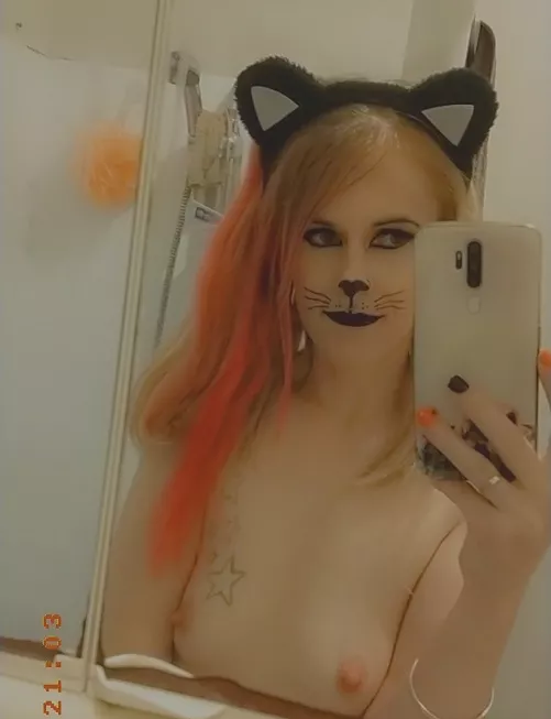 Redhead kitty π