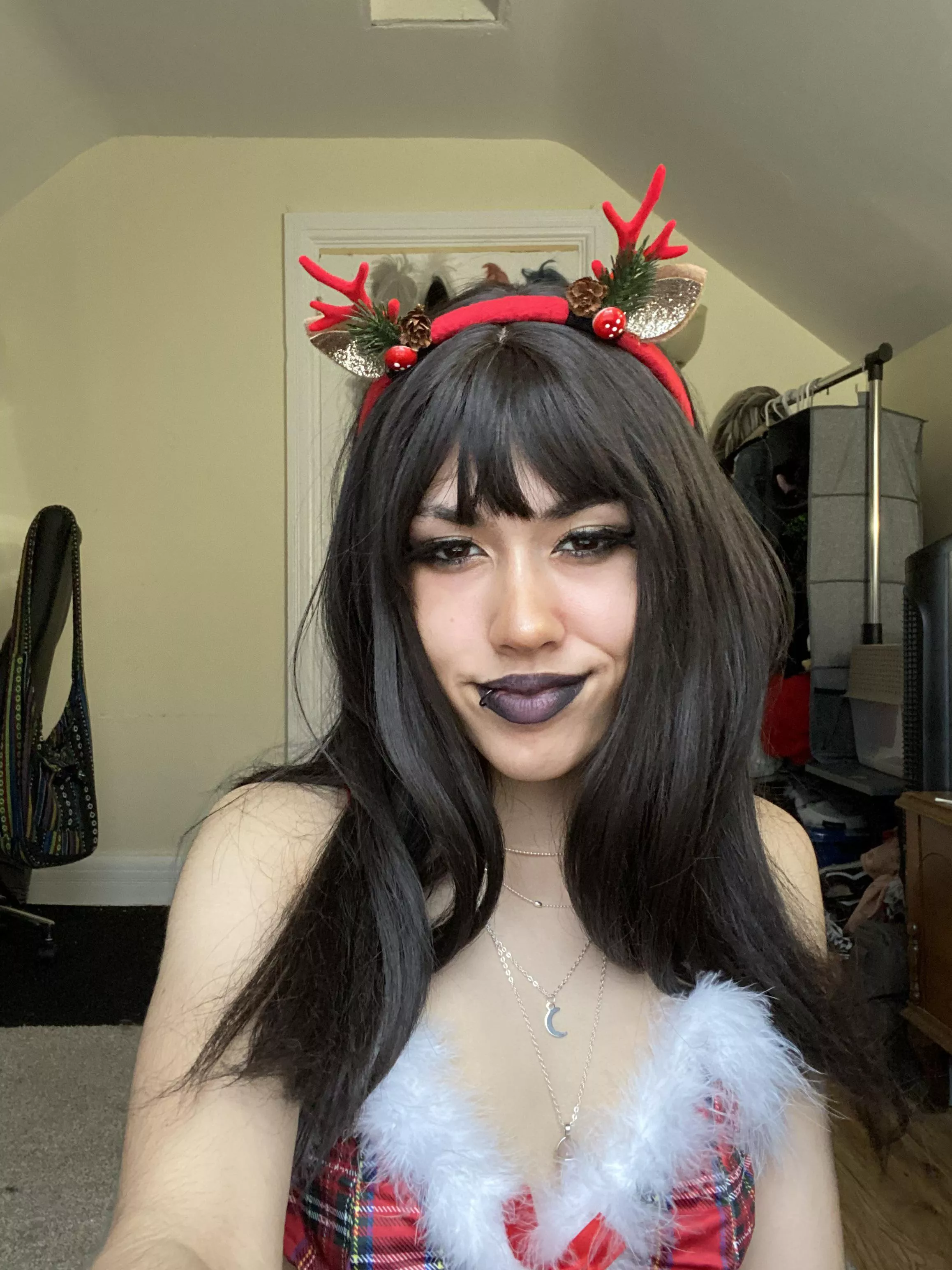 reindeer ride anyone? reindeer ride anyone?