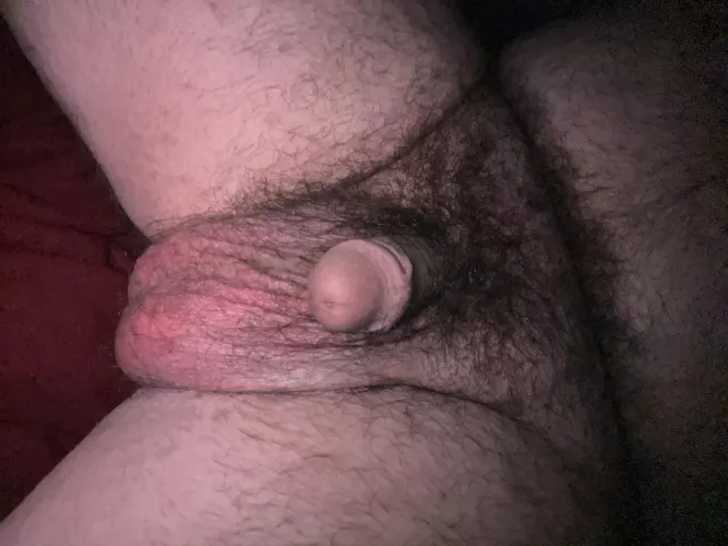 Relaxed bear nuts, all freshly cleaned.