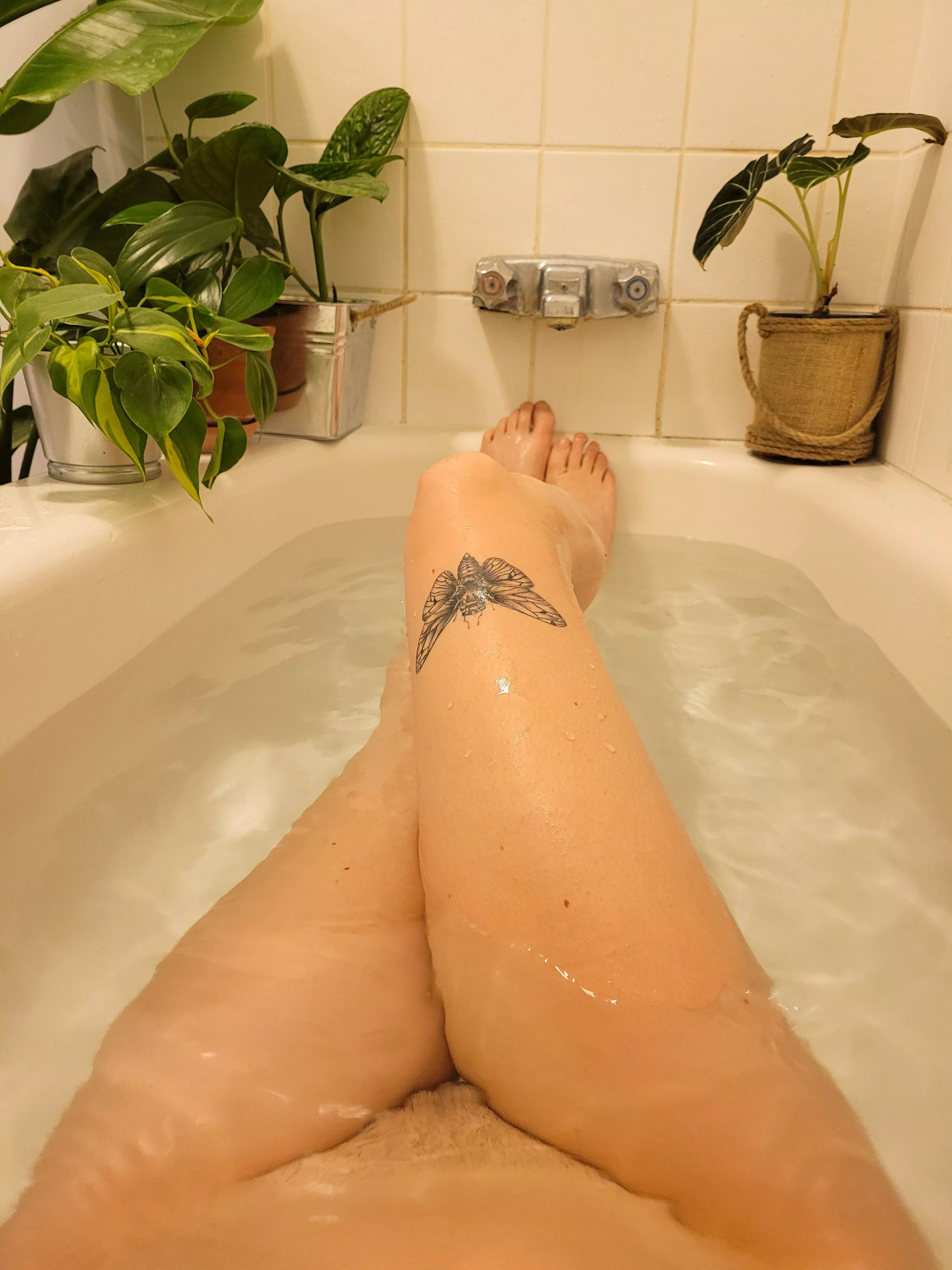 relaxing after a long day🪴🧼