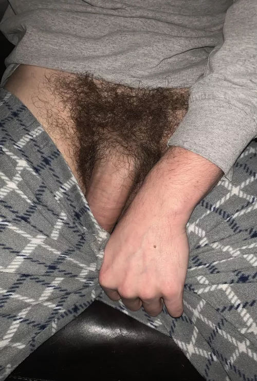 Relaxing today might as well pull out my cock 🤷♂️
