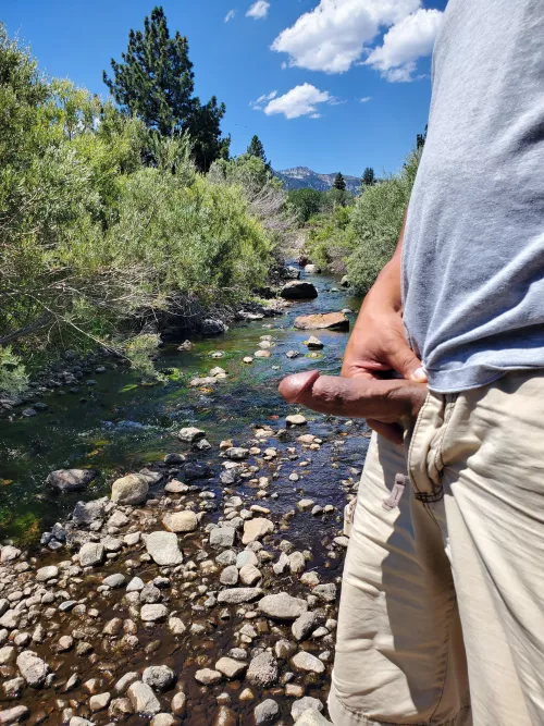 Releasing him into the wild.