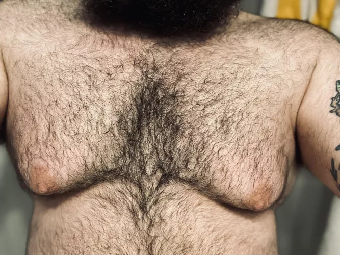 Rest your head a while 🐻💤