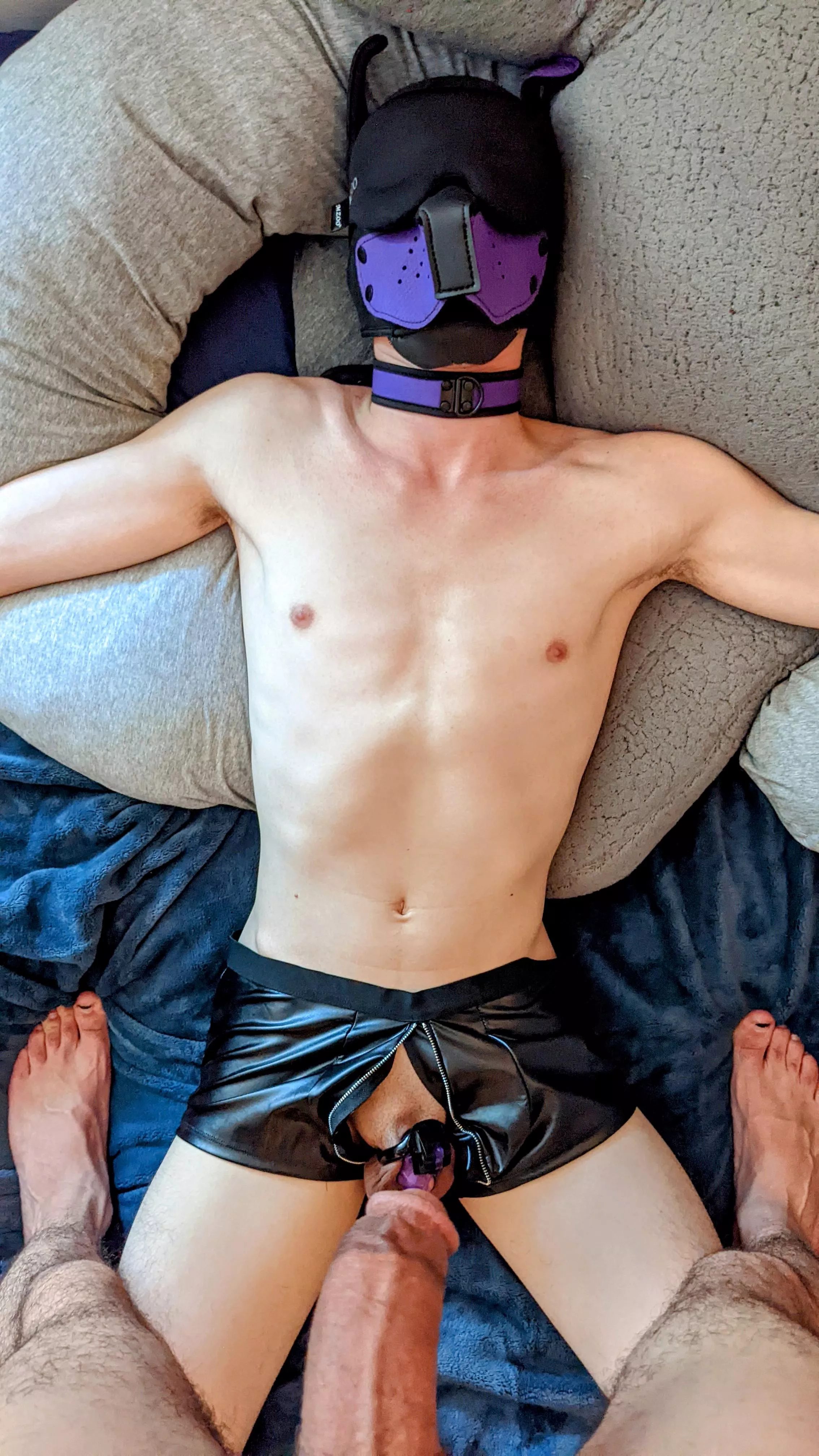 Restrained and locked, as a good pup should be 🐶🔒