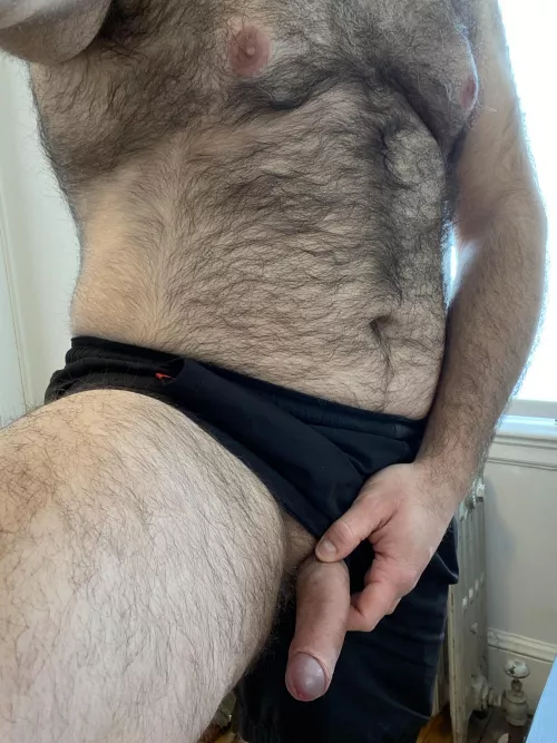 Return of the Wookie 33M