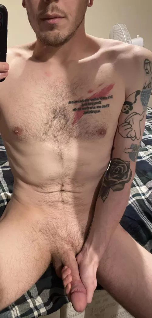 Reviving my profile for the 4th time. Come say Hi