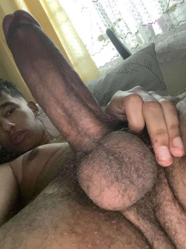 Ride me till u cum Ride me till u cum