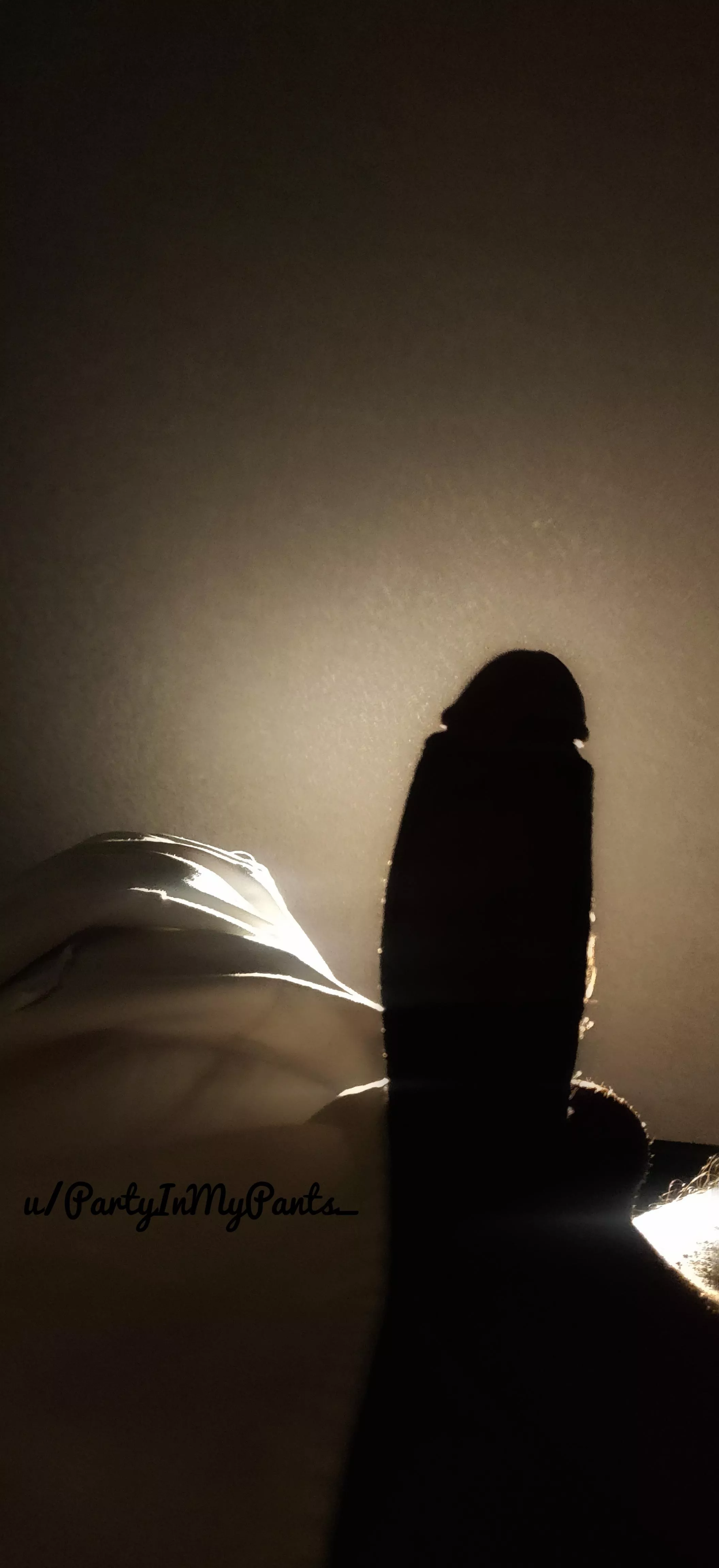 Ride this thick dick🍆 under the mistletoe 🎄and I'll leave your holes gaping 💦 as a Christmas gift.🎁 [M] [25]