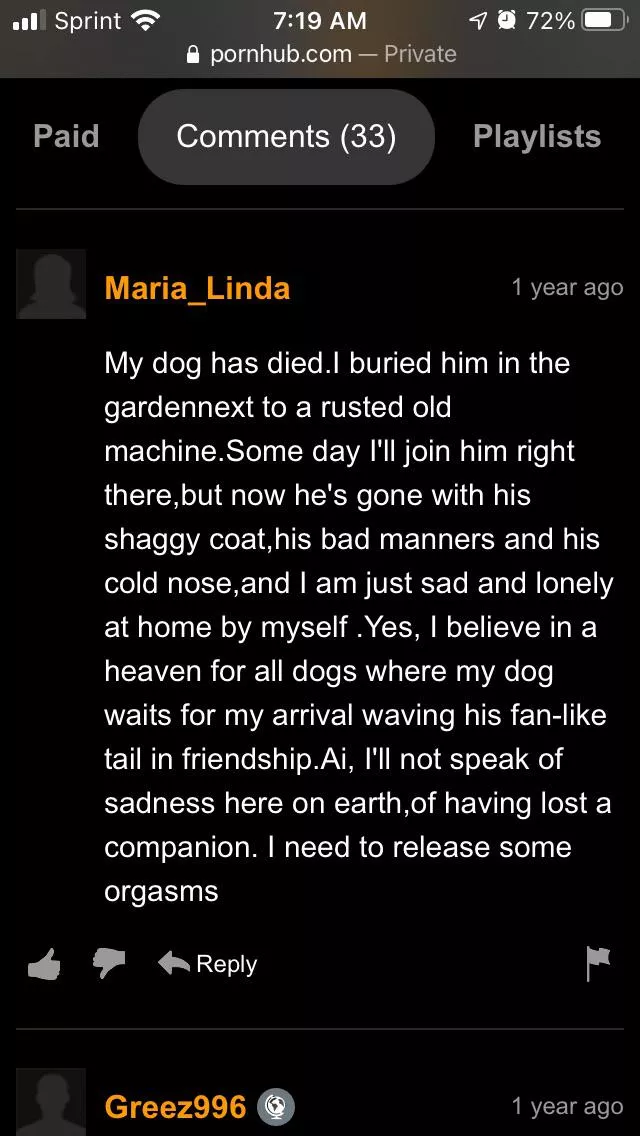 Rip doggo Rip doggo