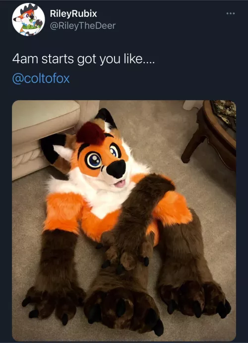 Rise and grind fluffbutt