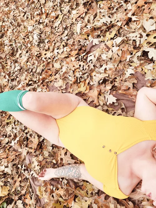 Rolling in the leaves never gets old, even with age. Rolling in the leaves never gets old, even with age.