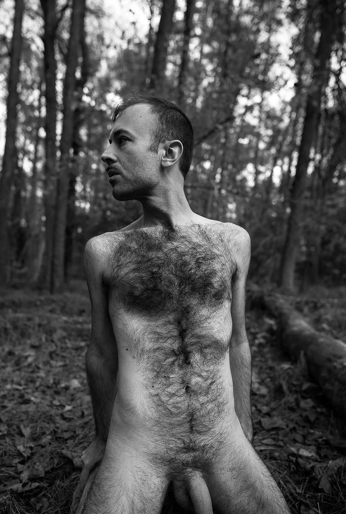 Rolling in the pines