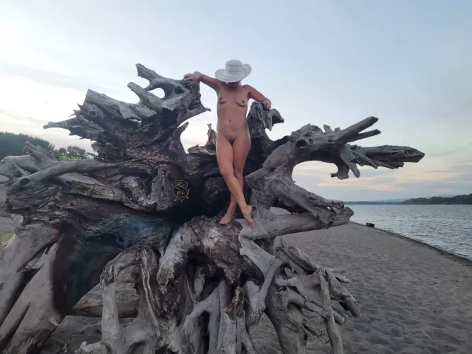 Root Me On Tree Pose Tuesday Root Me On Tree Pose Tuesday