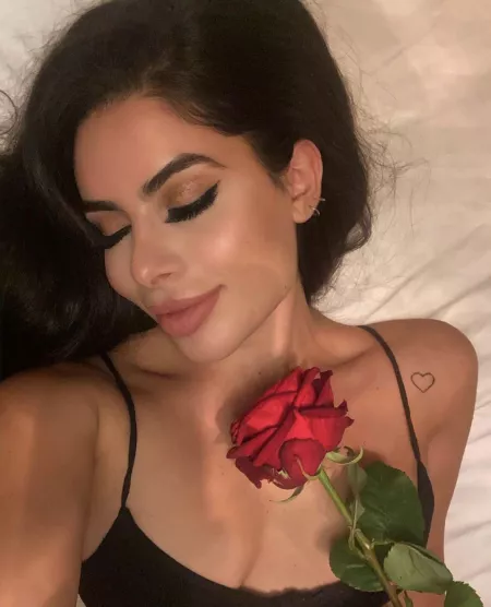 Rose Rose