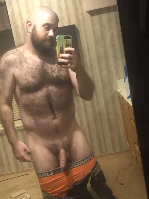 Rub this bear [37]