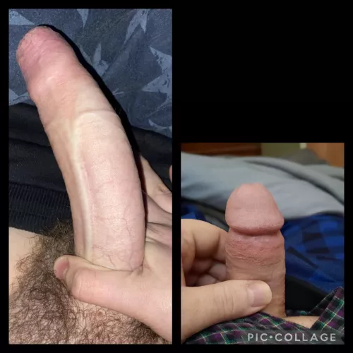 Rudeappearance8786 on left we got right totally destroyed me