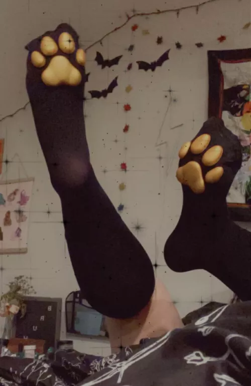 Ruff~! Do you like my new beans?