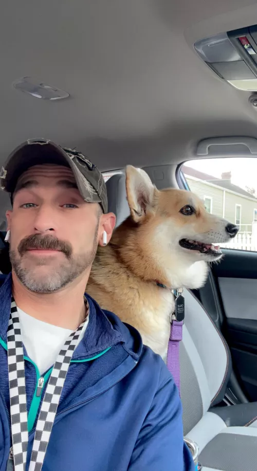 Running errands with Callie the #Corgi