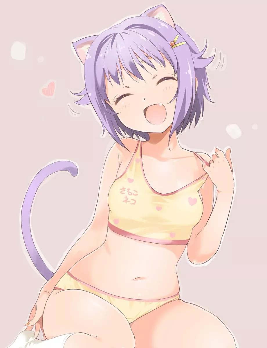 Sachiko cat Sachiko cat