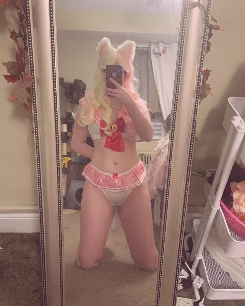 Sailor Moon cat girl! Links below